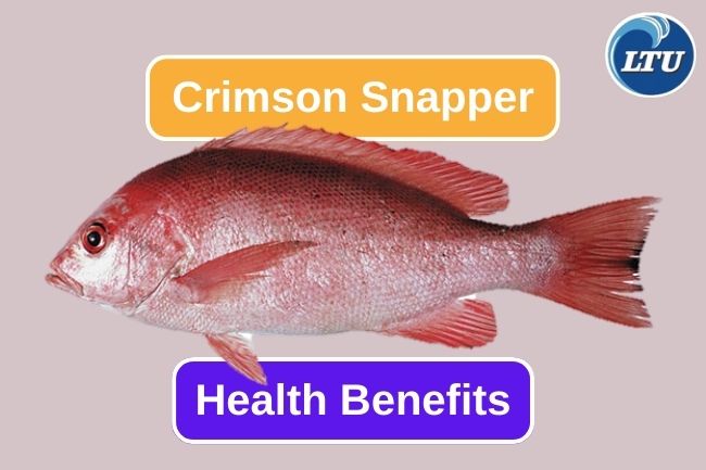 The 5 Best Benefits Of Consuming Crimson Snapper